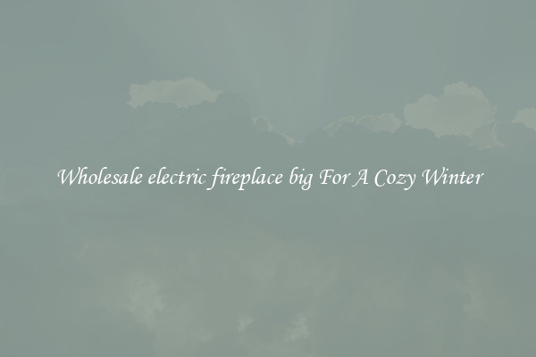 Wholesale electric fireplace big For A Cozy Winter