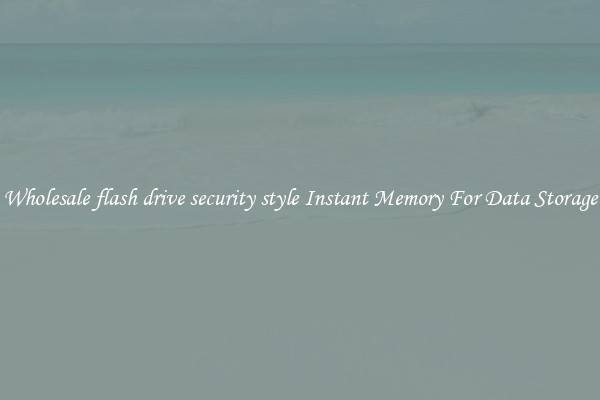 Wholesale flash drive security style Instant Memory For Data Storage