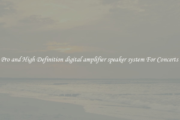 Pro and High Definition digital amplifier speaker system For Concerts 