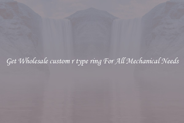 Get Wholesale custom r type ring For All Mechanical Needs