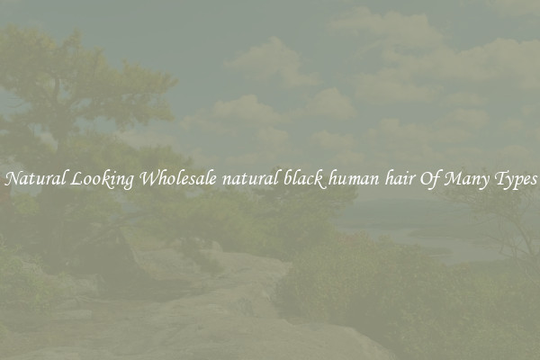 Natural Looking Wholesale natural black human hair Of Many Types