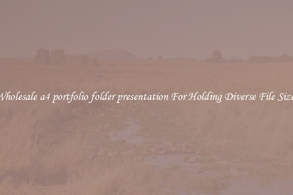 Wholesale a4 portfolio folder presentation For Holding Diverse File Sizes