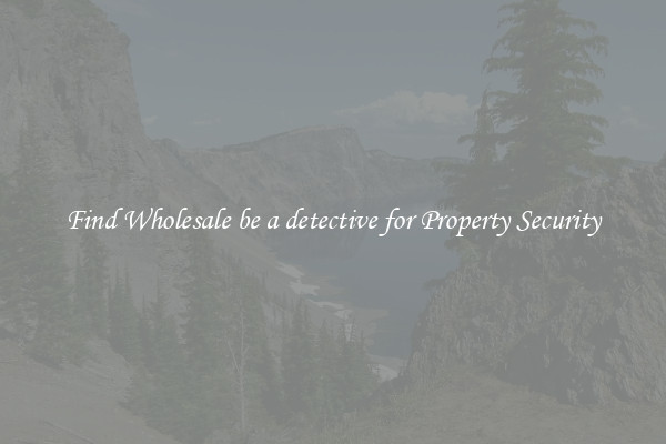 Find Wholesale be a detective for Property Security