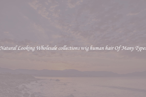Natural Looking Wholesale collections wig human hair Of Many Types