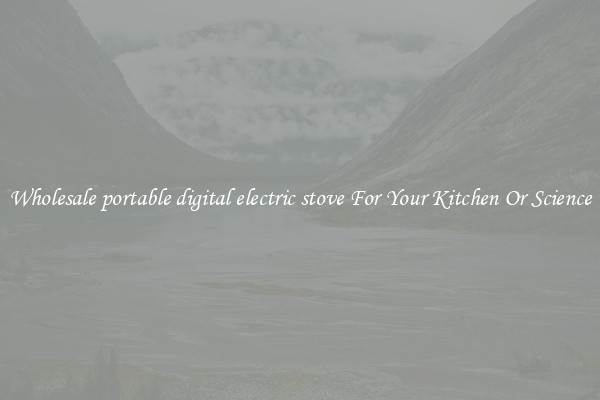 Wholesale portable digital electric stove For Your Kitchen Or Science