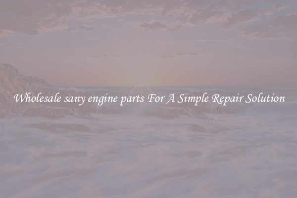 Wholesale sany engine parts For A Simple Repair Solution