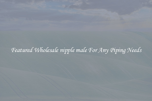 Featured Wholesale nipple male For Any Piping Needs