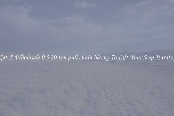 Get A Wholesale 0.5 20 ton pull chain blocks To Lift Your Jeep Hardtop