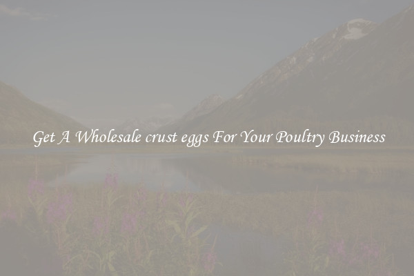 Get A Wholesale crust eggs For Your Poultry Business