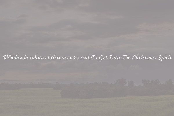 Wholesale white christmas tree real To Get Into The Christmas Spirit